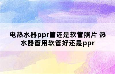 电热水器ppr管还是软管照片 热水器管用软管好还是ppr